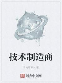 技术制造商章节列表