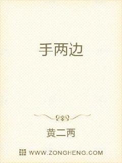 手两边章节列表