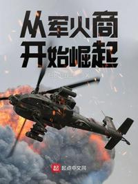 从军火商开始崛起章节列表