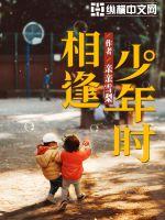 相逢少年时章节列表