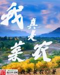 我真是菜农章节列表