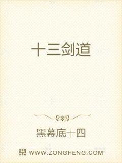 十三剑道章节列表