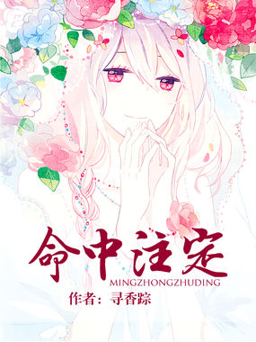 命中注定章节列表