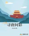 寻唐问彩章节列表