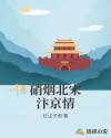 硝烟北宋汴京情章节列表