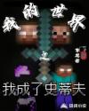 我的世界之我成了史蒂夫章节列表