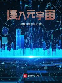 误入元宇宙章节列表