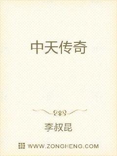 中天传奇章节列表