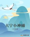 大宁小神捕章节列表