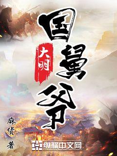 大明国舅爷章节列表