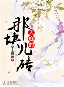 天庭的那块儿砖章节列表