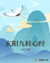 玄阳九转心经章节列表