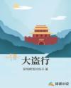 大盗行章节列表