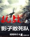 抗战之影子敢死队章节列表