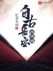 自古长安西风雨章节列表