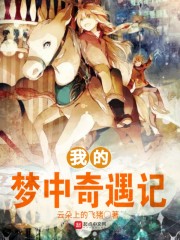 我的梦中奇遇记章节列表