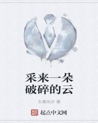 采来一朵破碎的云章节列表