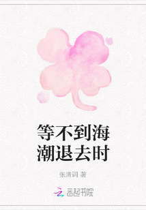 等不到海潮退去时章节列表