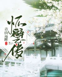 怀璧传章节列表