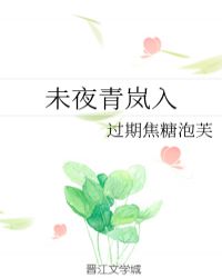 未夜青岚入章节列表