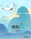 魔胎章节列表