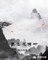 要飞花摘叶章节列表