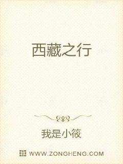 西藏之行章节列表