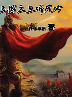 三国之且听风吟章节列表