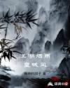 江湖烟雨皇城风章节列表