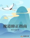 魔道修正指南章节列表