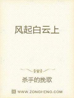 风起白云上章节列表