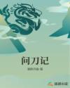 问刀记章节列表