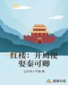 红楼：开局便娶秦可卿章节列表