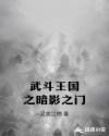 武斗王国之暗影之门章节列表