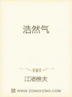 浩然气章节列表