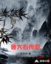 鲁大石传奇章节列表