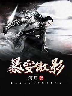 暴雪傲影章节列表