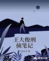 王大俊刑侦笔记章节列表