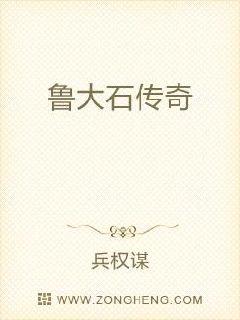 鲁大石传奇章节列表
