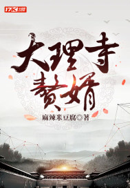 大理寺赘婿章节列表