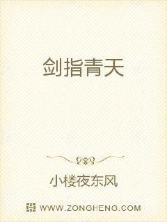 剑指青天章节列表