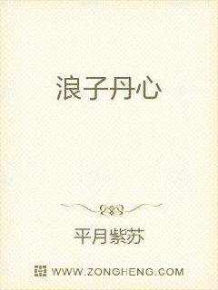 浪子丹心章节列表