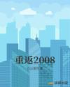 重返2008章节列表