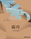 霜刃章节列表