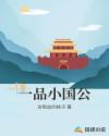 一品小国公章节列表
