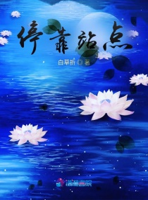 停靠站点章节列表