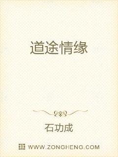 道途情缘章节列表