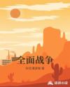 全面战争章节列表