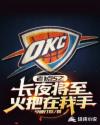 老1点5之长夜将至，火把在我手章节列表
