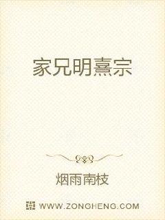 家兄明熹宗章节列表